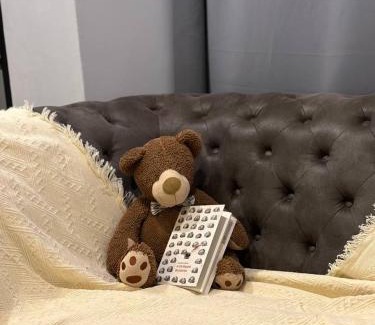 Arau House | The Bunker StudioStay