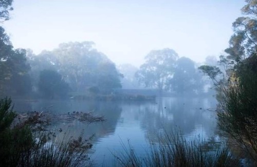 Dixons Creek Bed & Breakfast | The Burrow at Wombat Bend B&B