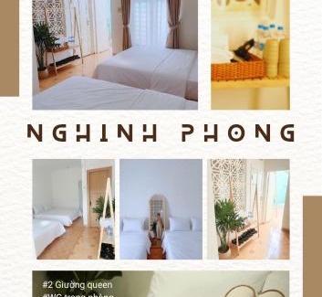 Tuy Hoa Hotel | The Cowly House