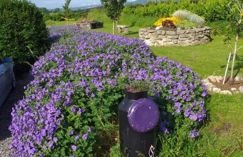 St. Mullins House | The Crossing, Cottage, R95TH5C