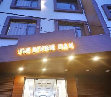 Katra Hotel | The Divine Oak