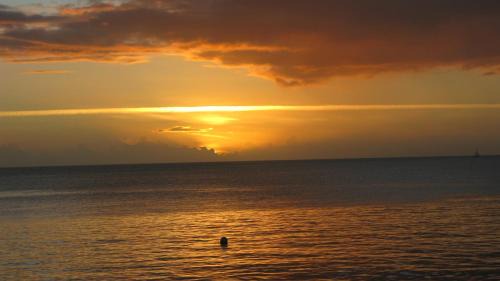 Soufriere Hotel | The Downtown Hotel