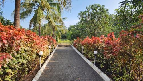 Talala Resort | The Dreams of Kathiyawad