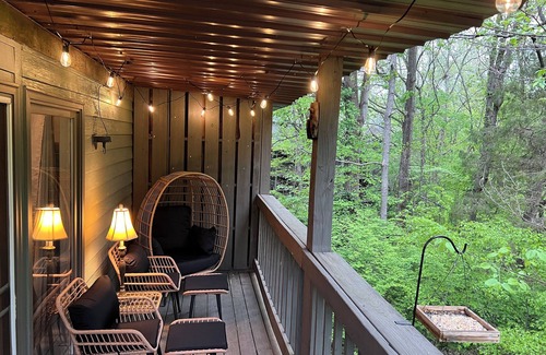 Avoca Condo | The Eagle's Nest & Bird Watching