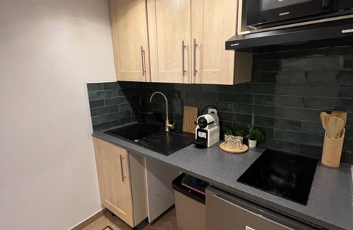 Roquebilliere Apartment | - The Emerald - The Emerald - Charming studio Tramway T1