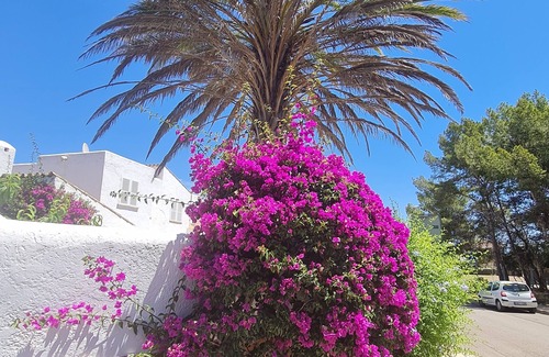 Calvia Apartment | The enchanting chalet with charm in Ibiza style in the south-west of Mallorca.