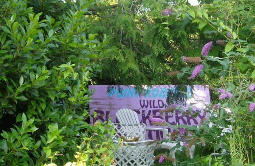 Point Roberts Cottage | The Garden Cottage.Step Back in Time - Experience Nature - with Creative Spirit