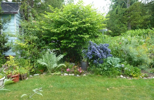 Point Roberts Cottage | The Garden Cottage.Step Back in Time - Experience Nature - with Creative Spirit
