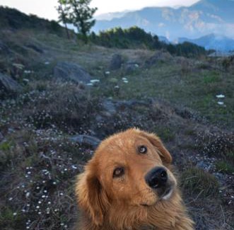 Kempty Range Hotel | The Grand View Resort