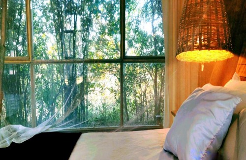 Vikarabad Resort | The Grass Walk Jungle Lodge