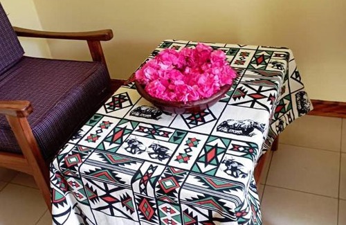 Mto wa Mbu Bed & Breakfast | The Green Parrot Campsite & Lodge