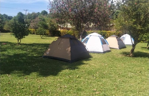 Mto wa Mbu Bed & Breakfast | The Green Parrot Campsite & Lodge