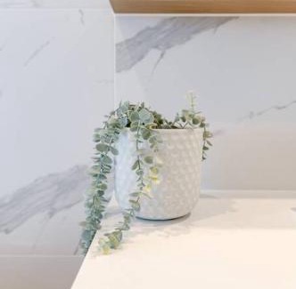 Noosa Heads House | The Hamptons Lake House - Noosa Heads Luxury House