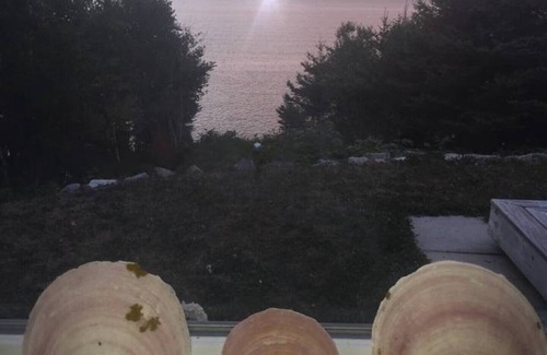 Port Mouton Cottage | The Harbor Hideaway - Ocean Front - Private - Port Mouton