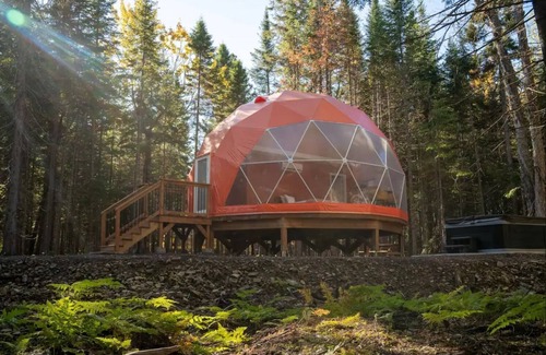 Queens County Cabin | The Harvest