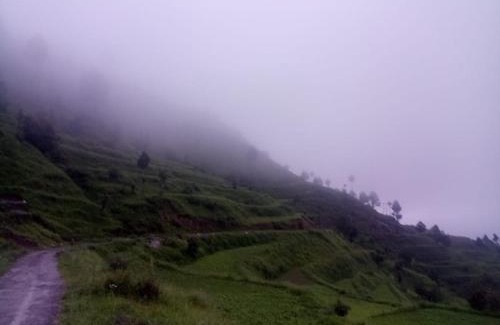 Bajeri House | The Himalayan meadows