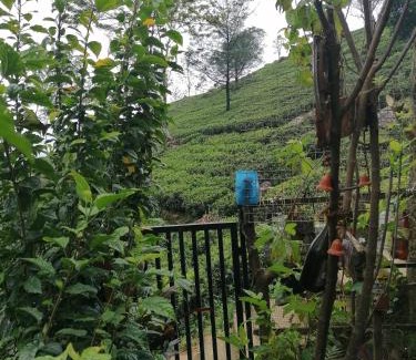 Haputale House | The Jungle Life Homestay Thangamalay Sanctuary Haputale by Gisela Sivam