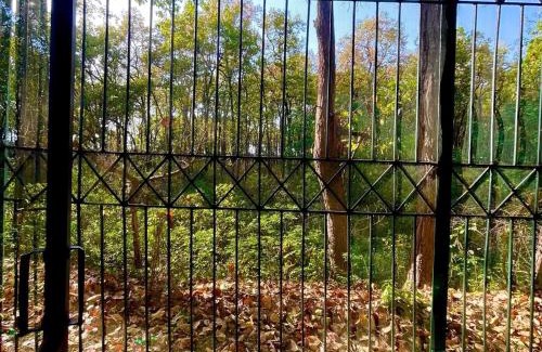 Bullawala Villa | The Jungle Retreat 2 by Jabula Getaways