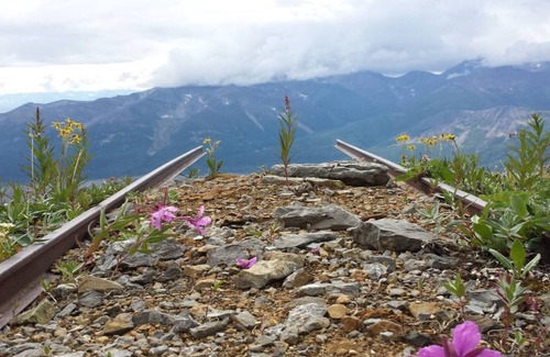 McCarthy House | The Kuskulana at Currant Ridge - Deluxe Private Lodging!