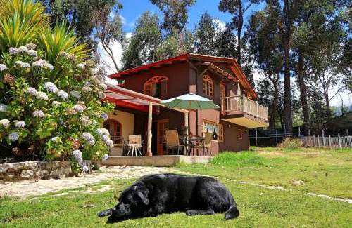 Independencia Cabin | The Lazy Dog Inn a Mountain Lodge