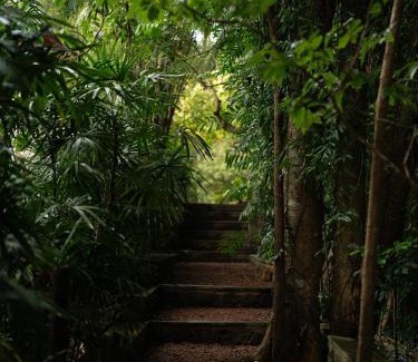 Bandaranayake Villa | The Lush Unawatuna