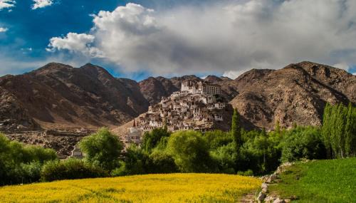 Leh Hotel | The Nature Residency - A Riverside Resort in Leh