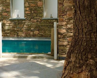 Udaipur City Centre Bed & Breakfast | The Neem Tree