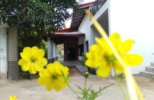 Weligama House | The Nest