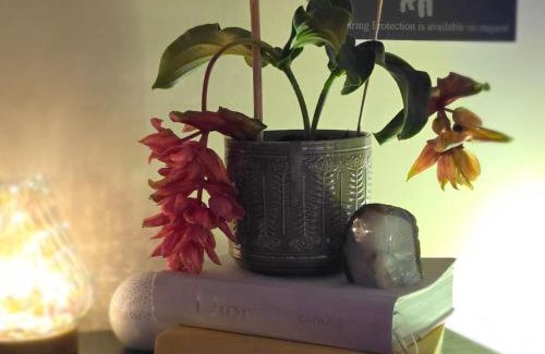 Coatbridge Bed & Breakfast | The NEW Blue Horse Suite at The Grumpy Schnauzer B&B Luxury Private Indoor Hot Tub Breakfast in Bed