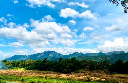 Mahiyanganaya Hotel | The New Rest House Mahiyanganaya