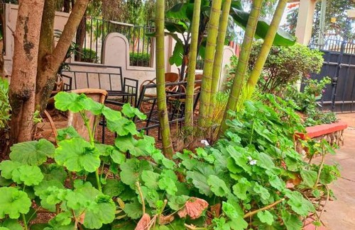 Arusha Bed & Breakfast | The njiro laga