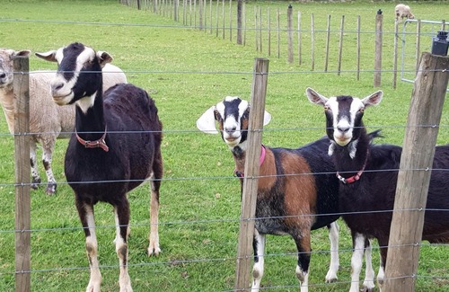 Kerikeri Bed & Breakfast | The Oars B&B