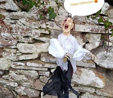 Tralee House | The Old House at Belfield