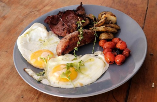 Camperdown Bed & Breakfast | The Owl House