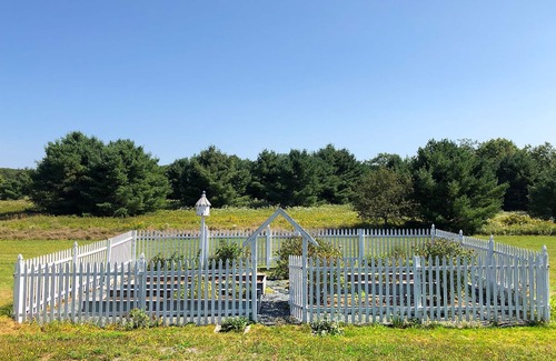 Blue Hill House | The Owlet - Waterfront overlooking blueberry fields