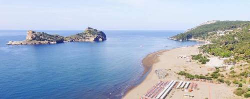 Sarigerme Apartment | The Palm Apart Sarigerme