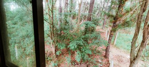 Keppetipola House | The Pearl Homestay