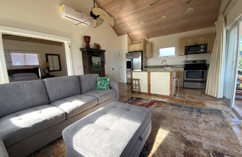 Green Turtle Cay Apartment | The Penthouse with sweeping views of Cocoa bay beach , green turtles & Rays