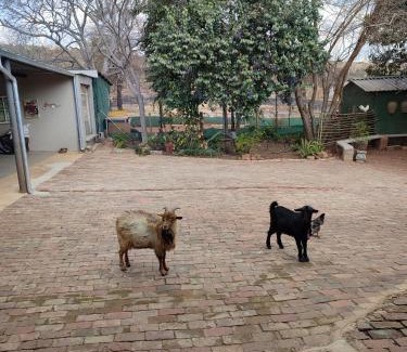 Magaliesberg Apartment | The Pink chair questhouse