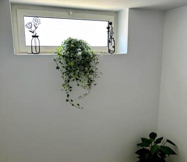 Cutrofiano House | The Place