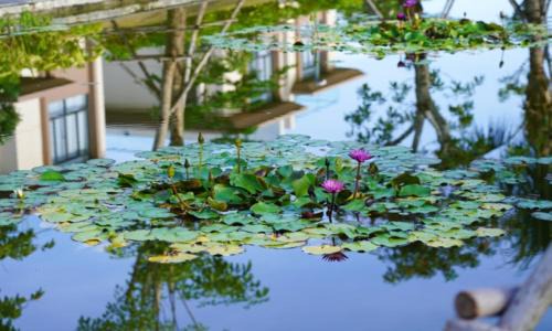 Cam Lam Resort | The Pool Villas Cam Ranh - All Private Pool Villas