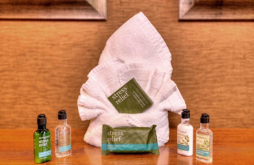 Pigeon Forge Hotel | The Ramsey Hotel & Convention Center