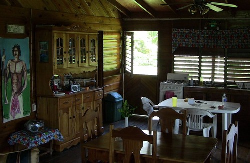 Little Bay Cabin | The Real Jamaica