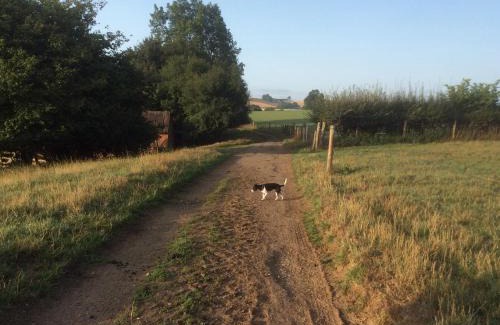 Everdon Bed & Breakfast | The Rear of the Plough,Everdon.