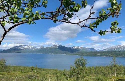 Laukeng House | The Red Fjordhouse