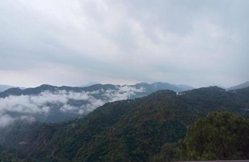 Kuthar Apartment | The Rustic Ranch