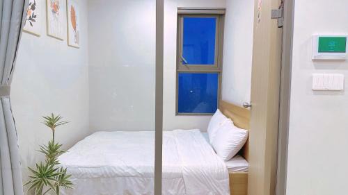 Thang Tam Apartment | The Sóng Apartment Vũng Tàu - Căn Hộ Du Lịch Biển Vũng Tàu - SuSu Homestay