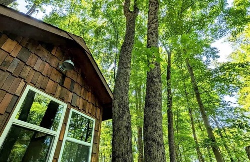 Great Cacapon Cabin | The Sanctuary Summary