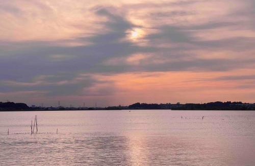 Abiko House | The Sealions 海獅a newly built home 2 mins walk from supermarket