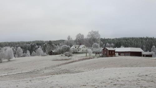 Prasthog Bed & Breakfast | The Sheep Inn B&B